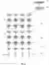 Fig. 06 - Determining Intent from Unstructured Input to Update Heterogeneous Data Stores