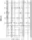 Fig. 12 - COMPUTER-READABLE RECODING MEDIUM, LEARNING METHOD, PREDICTION METHOD, LEARNING APPARATUS, AND PREDICTION APPARATUS