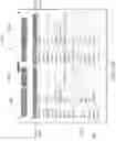 Fig. 15 - System, method, and apparatus for locating and merging documents
