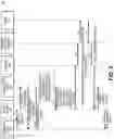 Fig. 06 - Authenticating remote transactions using a mobile device