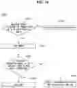 Fig. 17 - ARTIFICIAL DEVICE AND METHOD FOR CONTROLLING THE SAME