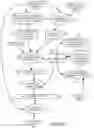 Fig. 04 - VIDEO CONTENT INCLUDING CONTENT ITEM SLOTS