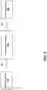 Fig. 06 - In-line FIX packet translator