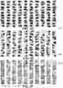 Fig. 07 - Systems and methods for detection of structures and/or patterns in images