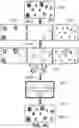 Fig. 10 - Systems and methods for detection of structures and/or patterns in images
