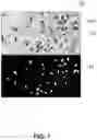 Fig. 13 - Systems and methods for detection of structures and/or patterns in images