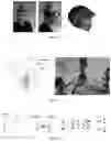 Fig. 10 - Fiducial marker patterns, their automatic detection in images, and applications thereof