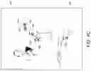 Fig. 06 - Dynamic object tracking