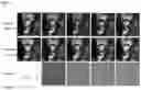 Fig. 06 - Method and system for deep motion model learning in medical images