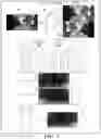 Fig. 04 - Systems and methods for depth estimation using monocular images