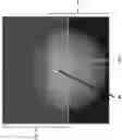 Fig. 01 - Scaled radiography reconstruction