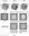 Fig. 08 - Extended high efficiency computed tomography with optimized recursions and applications