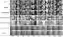 Fig. 01 - Neural face editing with intrinsic image disentangling