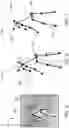 Fig. 07 - Systems and methods for augmented reality body movement guidance and measurement