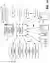Fig. 02 - Responder network