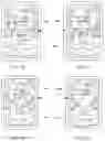Fig. 12 - METHOD OF AND APPARATUS FOR TARGETED INTERACTIVE HEALTH STATUS NOTIFICATION AND CONFIRMATION