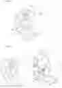 Fig. 02 - Shadow fairytale projector