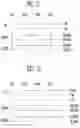 Fig. 11 - Display device having at least two emission enable periods per image frame and method of driving the same