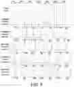 Fig. 06 - Display method and device for reducing motion blur