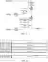 Fig. 03 - Audio signal encoding and decoding