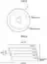 Fig. 03 - Magnetic disk device and control method