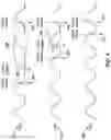 Fig. 04 - Systems and methods for improving write preambles in DDR memory devices