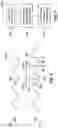 Fig. 05 - Systems and methods for improving write preambles in DDR memory devices