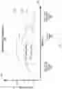 Fig. 07 - POWER AWARE PROGRAMMABLE NEGATIVE BIT LINE CONTROL