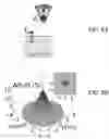 Fig. 10 - Quantum metrology and quantum memory using defect sates with spin-3/2 or higher half-spin multiplets