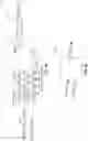 Fig. 07 - Row hammer refresh for content-addressable memory devices
