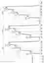 Fig. 24 - Memory system