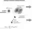 Fig. 01 - SYSTEMS AND METHODS FOR DISSECTING HETEROGENEOUS CELL POPULATIONS