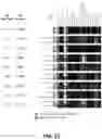 Fig. 42 - SYSTEMS AND METHODS FOR DISSECTING HETEROGENEOUS CELL POPULATIONS