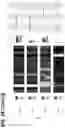 Fig. 45 - SYSTEMS AND METHODS FOR DISSECTING HETEROGENEOUS CELL POPULATIONS