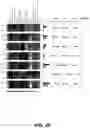 Fig. 50 - SYSTEMS AND METHODS FOR DISSECTING HETEROGENEOUS CELL POPULATIONS