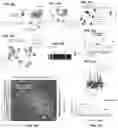Fig. 53 - SYSTEMS AND METHODS FOR DISSECTING HETEROGENEOUS CELL POPULATIONS