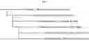Fig. 03 - SYSTEMS AND METHODS FOR SINGLE-CELL RNA-SEQ DATA ANALYSIS