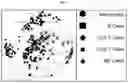 Fig. 04 - SYSTEMS AND METHODS FOR SINGLE-CELL RNA-SEQ DATA ANALYSIS