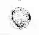 Fig. 11 - SYSTEMS AND METHODS FOR SINGLE-CELL RNA-SEQ DATA ANALYSIS