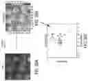 Fig. 41 - APPARATUS, SYSTEMS, AND METHODS FOR RAPID CANCER DETECTION