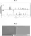 Fig. 06 - Production method for MgBsuperconducting wire rod superconducting coil and MRI