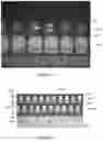 Fig. 11 - High-aspect ratio electroplated structures and anisotropic electroplating processes