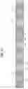 Fig. 12 - Dielectric structures for electrical insulation with vacuum or gas