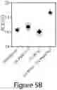 Fig. 11 - Mixed three-dimensional and two-dimensional perovskites and methods of making the same