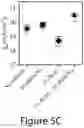 Fig. 12 - Mixed three-dimensional and two-dimensional perovskites and methods of making the same