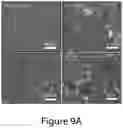 Fig. 24 - Mixed three-dimensional and two-dimensional perovskites and methods of making the same