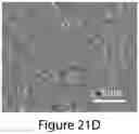 Fig. 47 - Mixed three-dimensional and two-dimensional perovskites and methods of making the same
