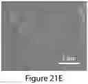 Fig. 48 - Mixed three-dimensional and two-dimensional perovskites and methods of making the same
