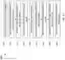 Fig. 20 - Apparatus and method for the minimization of undercut during a UBM etch process