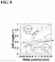 Fig. 09 - MANUFACTURING METHOD AND INSPECTION METHOD OF GROUP-III NITRIDE LAMINATE, AND GROUP-III NITRIDE LAMINATE